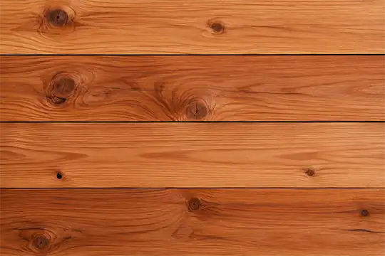 Cedar