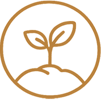Healthy Ecosystems
